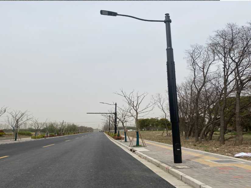 富裕县上海综合杆 太阳能路灯工程